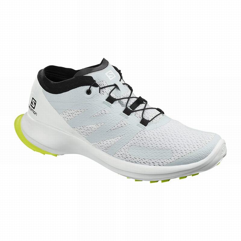 Zapatillas Trail Running Salomon Hombre Blancas / Gris - Salomon Argentina SENSE FLOW ,097582-EPB